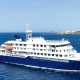 WHO TRACKING 80 PASSENGERS FROM CRUISE SHIP AFTER WOMAN DIES FROM DEADLY HANTAVIRUS