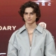 TIMOTHEE CHALAMET DRAWS CRITICISM AFTER REMARKS ABOUT BALLET AND OPERA