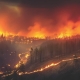 CANADA GRAPPLES WITH RAGING WILDFIRES AS THOUSANDS FLEE AND STATES OF EMERGENCY DECLARED