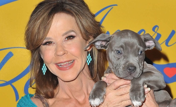 LINDA BLAIR'S HOME SEARCHED OVER DOG RESCUE OPERATION
