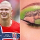 ERLING HAALAND RESPONDS AFTER A FAN PAINTS HIS PORTRAIT ON HER EYELID