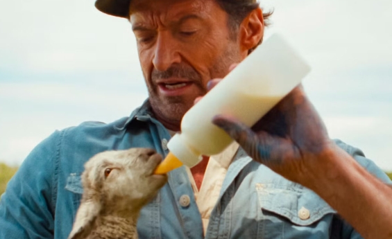 THE SHEEP DETECTIVES DELIVERS A CHARMING FAMILY MYSTERY WITH HEART AND HUMOR 