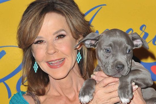 LINDA BLAIR'S HOME SEARCHED OVER DOG RESCUE OPERATION